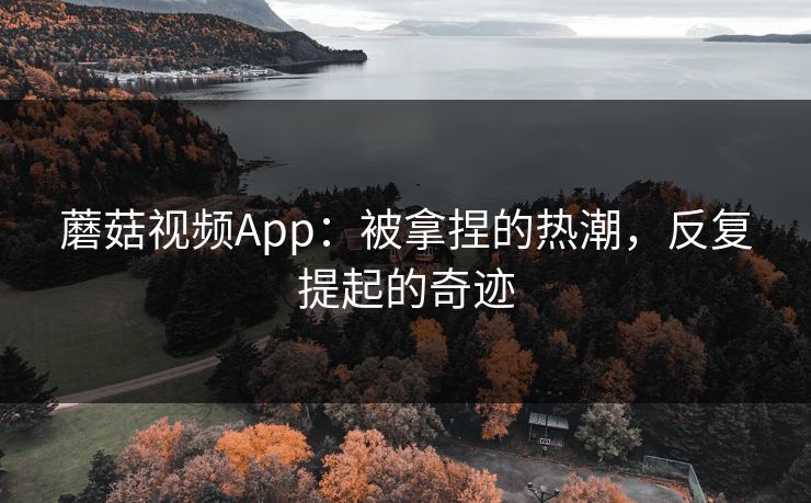 蘑菇视频App:被拿捏的热潮,反复提起的奇迹 蘑菇视频App:被拿捏的热潮,反复提起的奇迹