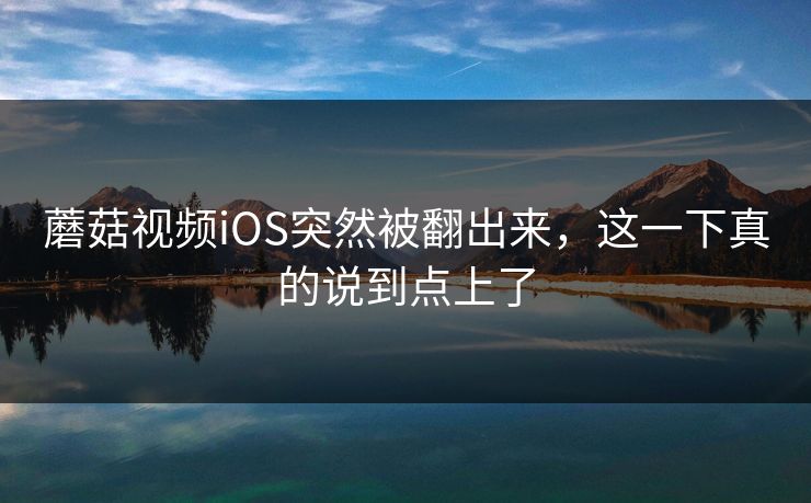 蘑菇视频iOS突然被翻出来，这一下真的说到点上了