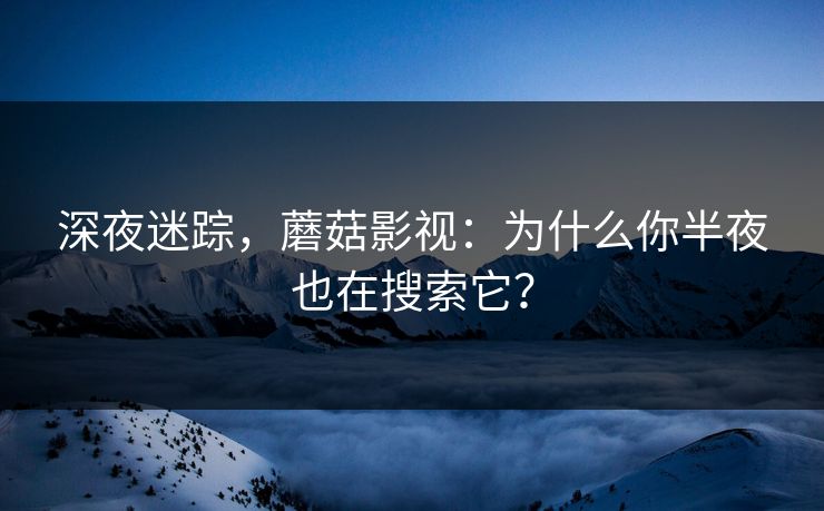 深夜迷踪，蘑菇影视：为什么你半夜也在搜索它？