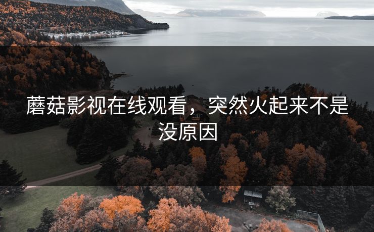 蘑菇影视在线观看，突然火起来不是没原因