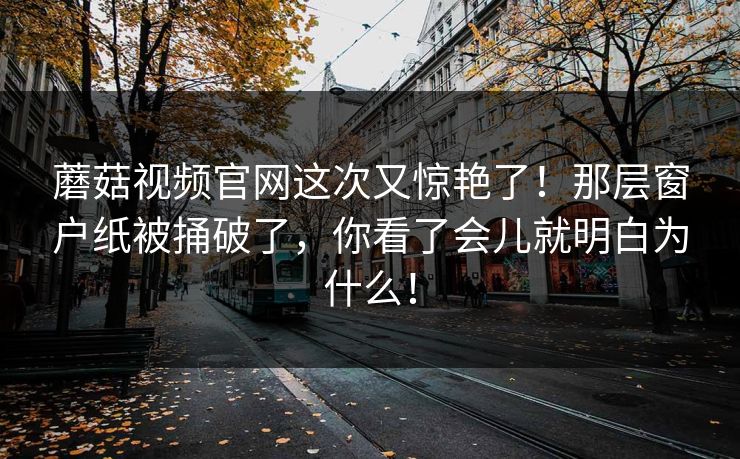 蘑菇视频官网这次又惊艳了！那层窗户纸被捅破了，你看了会儿就明白为什么！