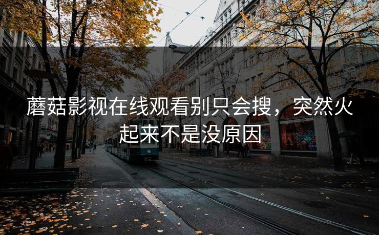 蘑菇影视在线观看别只会搜，突然火起来不是没原因