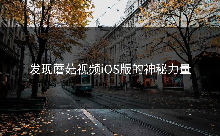 发现蘑菇视频iOS版的神秘力量