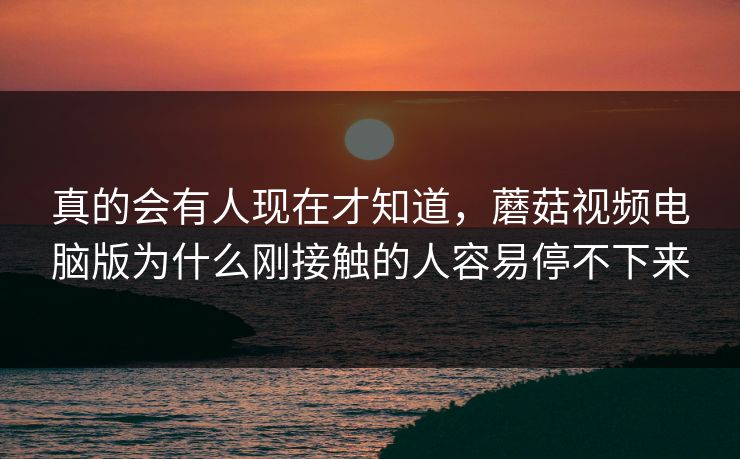 真的会有人现在才知道，蘑菇视频电脑版为什么刚接触的人容易停不下来