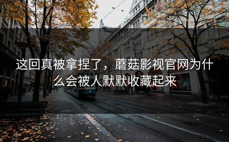 这回真被拿捏了，蘑菇影视官网为什么会被人默默收藏起来