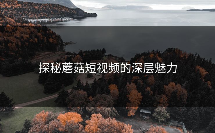 探秘蘑菇短视频的深层魅力 探秘蘑菇短视频的深层魅力