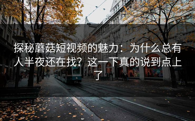 探秘蘑菇短视频的魅力：为什么总有人半夜还在找？这一下真的说到点上了