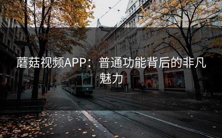 蘑菇视频APP:普通功能背后的非凡魅力 蘑菇视频APP:普通功能背后的非凡魅力